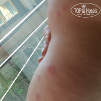 фото из отзыва ID 1409475