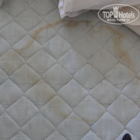 фото из отзыва ID 1409475