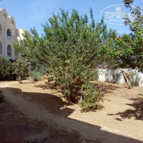 фото из отзыва ID 1407798