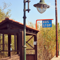 фото из отзыва ID 1409563