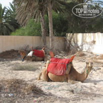 фото из отзыва ID 1407798