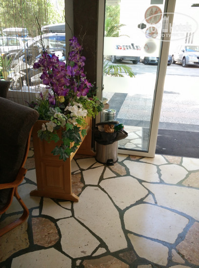 Hotel photo Palma Hotel 3*