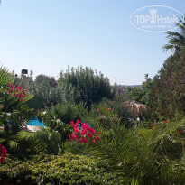 фото из отзыва ID 1409614