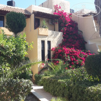 фото из отзыва ID 1409614