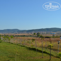 фото из отзыва ID 1408546