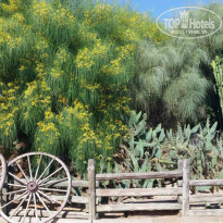 фото из отзыва ID 1409582