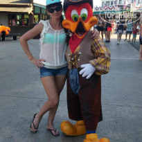 фото из отзыва ID 1409582