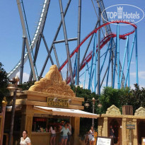 фото из отзыва ID 1409582