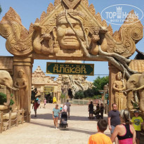 фото из отзыва ID 1409582