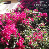 фото из отзыва ID 1409614