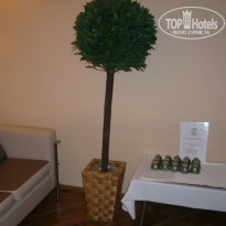 фото из отзыва ID 1409636