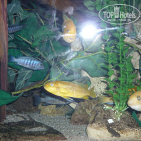 фото из отзыва ID 1409636