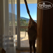 фото из отзыва ID 1409095