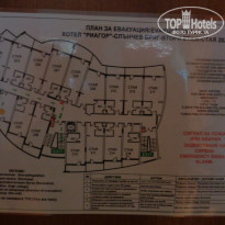 фото из отзыва ID 1409281