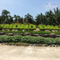 фото из отзыва ID 1409676