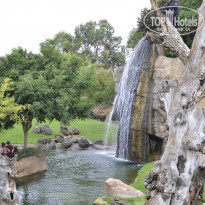 фото из отзыва ID 1407493