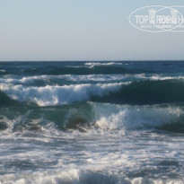 фото из отзыва ID 141576