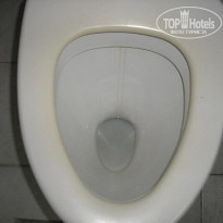 фото из отзыва ID 141807