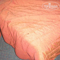 фото из отзыва ID 141807