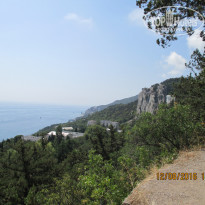 фото из отзыва ID 1410924