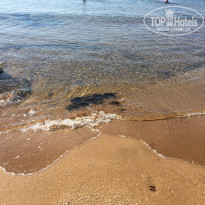 фото из отзыва ID 1411036