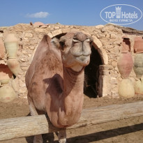 фото из отзыва ID 1411130