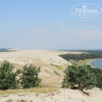 фото из отзыва ID 1411361