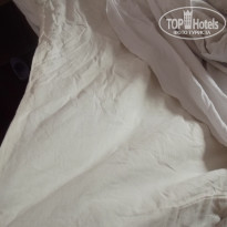 фото из отзыва ID 1411381