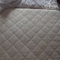 фото из отзыва ID 1411381