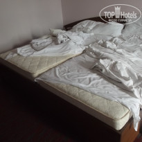 фото из отзыва ID 1411381