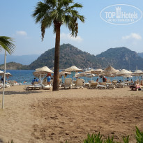 фото из отзыва ID 1411560