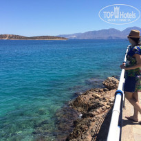 фото из отзыва ID 1411575