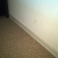 фото из отзыва ID 1411699