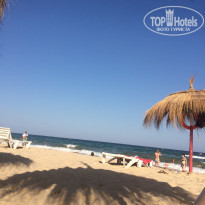 фото из отзыва ID 1411752