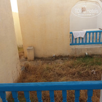 фото из отзыва ID 1411766