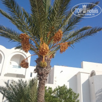 фото из отзыва ID 1411130