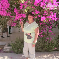 фото из отзыва ID 1411130