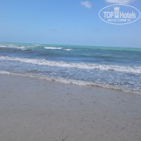 фото из отзыва ID 1411130