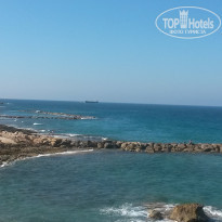 фото из отзыва ID 1411832