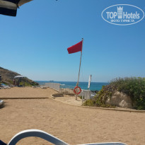 фото из отзыва ID 1411832