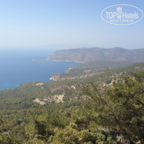 фото из отзыва ID 1411835