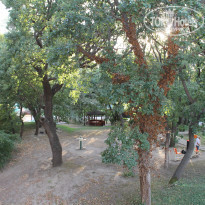 фото из отзыва ID 1411860