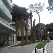 фото из отзыва ID 1411908