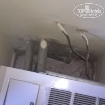 фото из отзыва ID 1411936