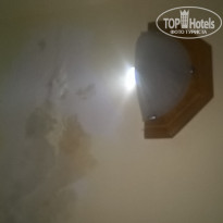 фото из отзыва ID 1411936