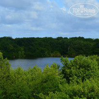 фото из отзыва ID 1412087