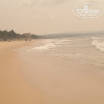 фото из отзыва ID 1411574