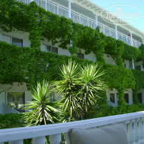 фото из отзыва ID 1412173