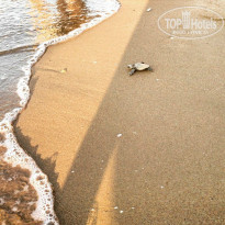 фото из отзыва ID 1412377