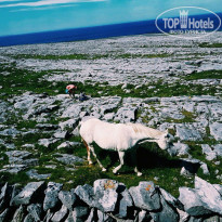 фото из отзыва ID 1412377